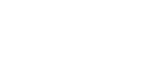 BizLink BizLink